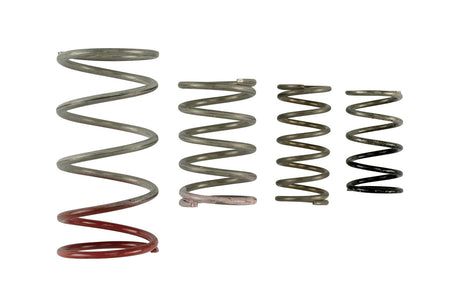 Turbosmart GenV IWG Spring Replacement Kit - TS-0600-2011
