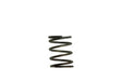 Turbosmart Gen4 / IWG WG38/40/45/50L 5PSI INNER SPRING - BROWN/GREY - TS-0505-2002