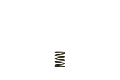 Turbosmart GenV WG38/40 3psi Black Inner Spring - TS-0550-3081