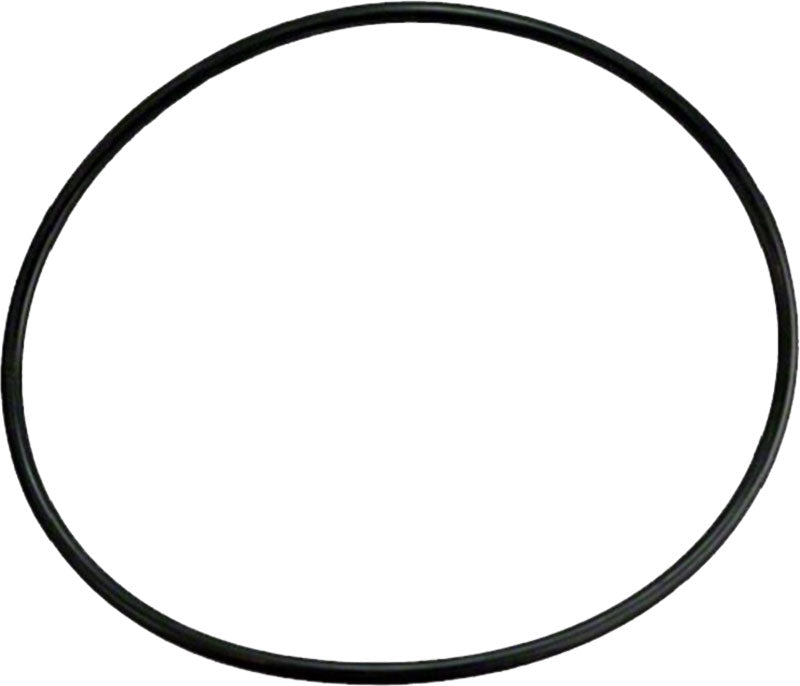 Strange Floater Dust Cap O-Ring - STF2200B STF2200B