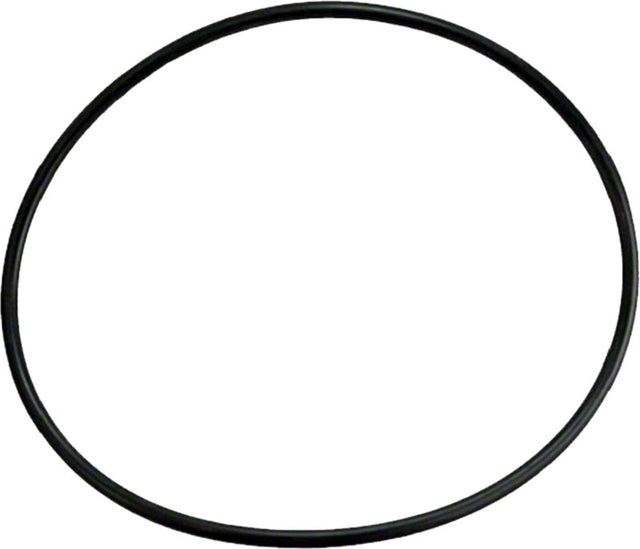 Strange Floater Dust Cap O-Ring - STF2200B STF2200B