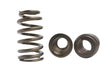 Kelford Cams Nitrided Beehive LS Race Springs - KVS1518