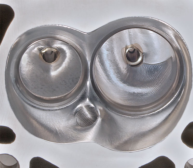 AFR 215cc LSX Mongoose Aluminium Cylinder Heads - AFR1530