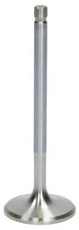 AFR S/S Intake Valve - AFR7252-1 AFR7252-1