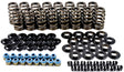PAC RPM Series GM LS Beehive Spring Kit - PAC-KS13 PAC-KS13