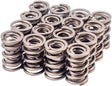 Melling Dual Valve Springs Set, 1.350" OD with Dampner - ME461901-16 ME461901-16