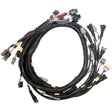 Link Terminated Engine Harness GM LS GEN3/4