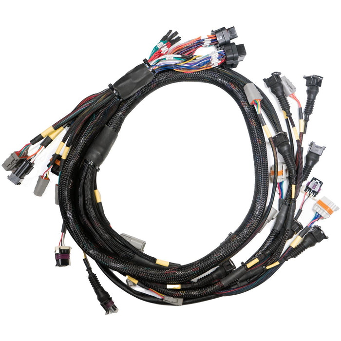 Link G4X StormX ECU + Terminated LS Engine Harness Drive-by-Cable Bundle