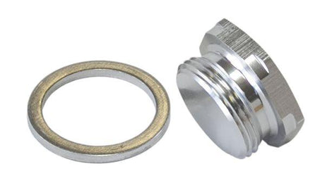 Aeroflow Holley Fuel Bowl Inlet Blank Plug (AF700-00S) AF700-00S