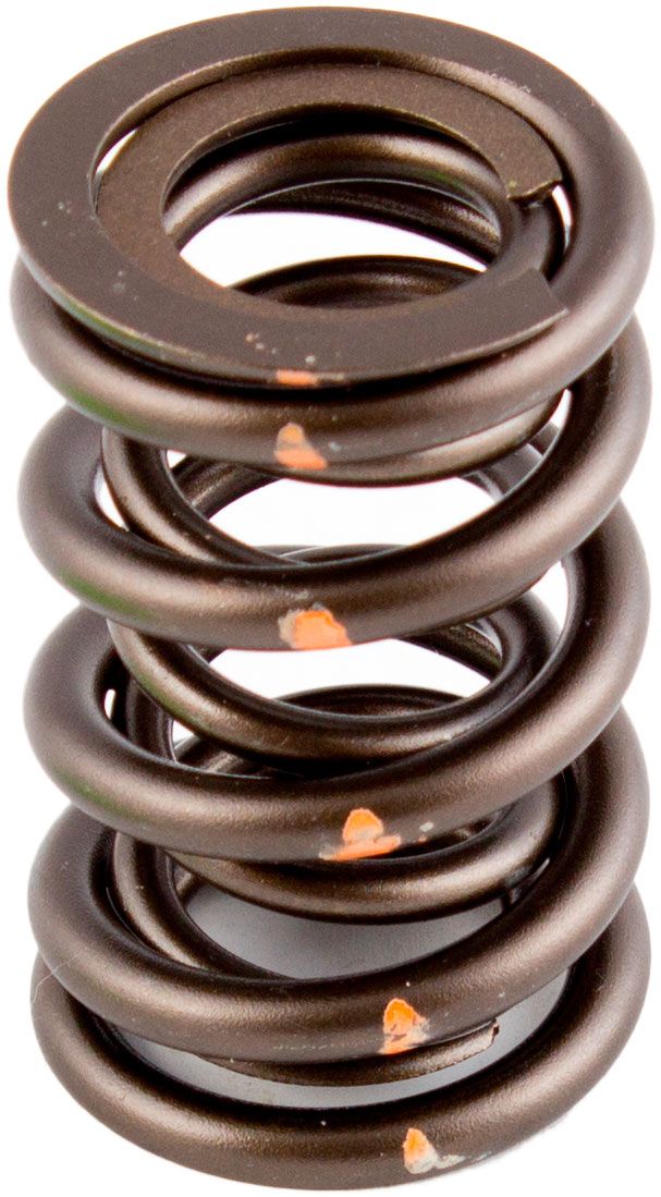 AFR Valve Spring 1.550" (AFR80001) — Fast Lane Spares