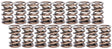 AFR Pac Dual Valve Springs, 1.270" (AFR8019-16) AFR8019-16