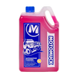Motomuck Auto Cleaner 5 Litre