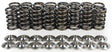Brian Crower Single Valve Spring & Titanium Retainer Kit (BC0100) BC0100
