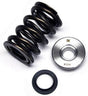 Brian Crower Dual Valve Spring, Steel Retainer & Seat Kit (BC0610) BC0610