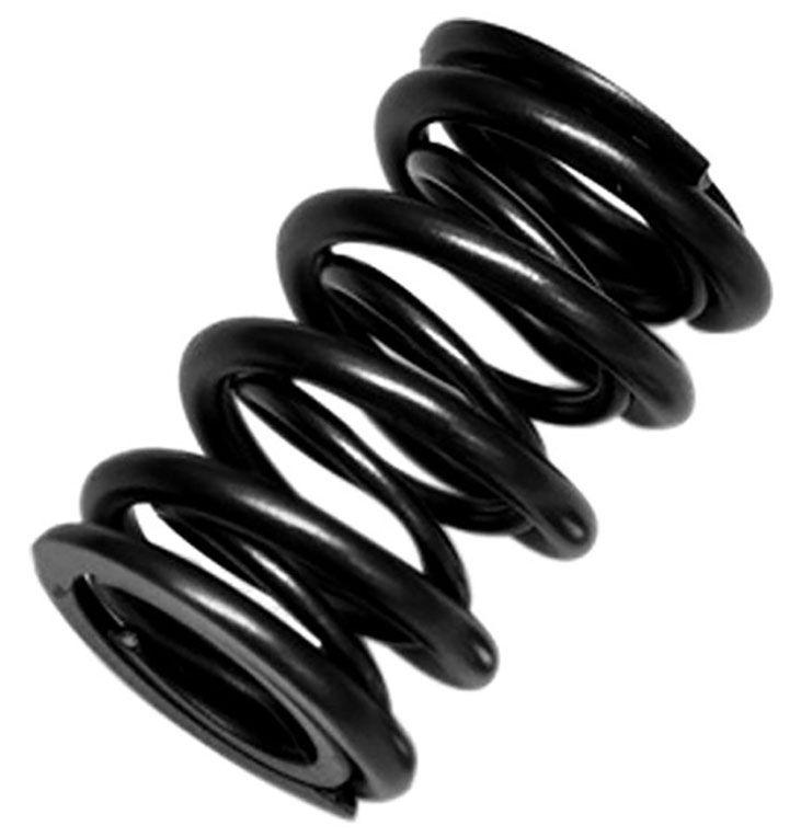 Brian Crower Dual Valve Spring Set (BC1120) BC1120