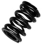 Brian Crower Dual Valve Spring Set (BC1120) BC1120