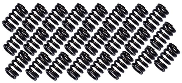 Brian Crower Valve Spring Kit, Set of 24 (BC1230) BC1230