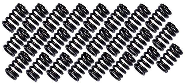 Brian Crower Valve Spring Kit, Set of 24 (BC1230)