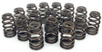 COMP Performance Street Beehive Valve Springs (CO26995-16) CO26995-16