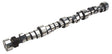 COMP Thumpr Hydraulic Camshaft - 295TH7 (CO35-602-4) CO35-602-4