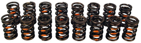 COMP Dual Valve Spring Set, 551 Spring Rate (CO943-16) CO943-16