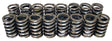 COMP Single Valve Spring Set, 308 Spring Rate (CO980-16)