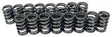 COMP Single Valve Spring Set, 370 Spring Rate (CO981-16) CO981-16