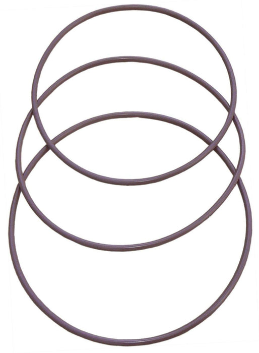 Clearview Replacement 4" Filter O-Rings (CV425)