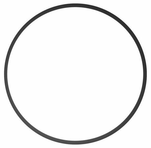 Derale Replacement O-Ring (DP15710) DP15710