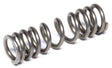 Enderle Check Valve Spring (EN6007-250A) EN6007-250A