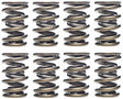 Ferrea Dual Valve Springs (FVS10033-24) FVS10033-24