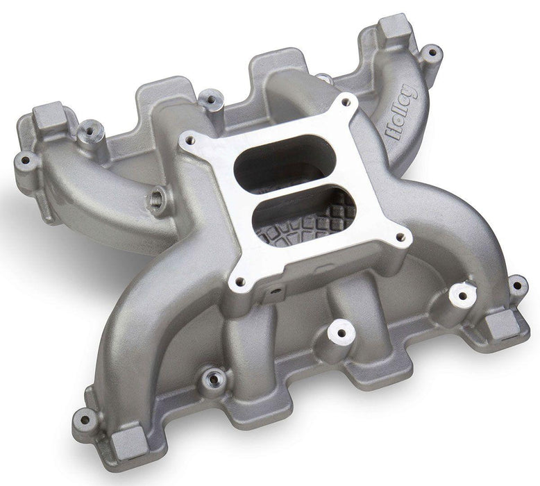 Holley LS1/LS2/LS6 Dual Plane Mid Rise Intake Manifold (HO300-130)