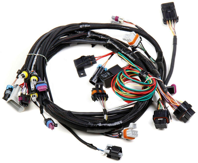 Holley LS1/LS6 Main Wiring Harness (HO558-102) HO558-102