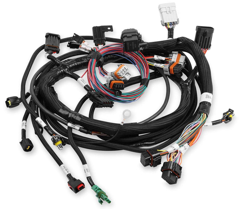 Holley Ford Coyote Main Harness (HO558-109)