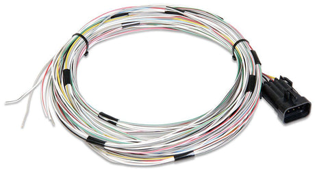 Holley Auxiliary Harness - J1A/B Input/Output (HO558-400) HO558-400