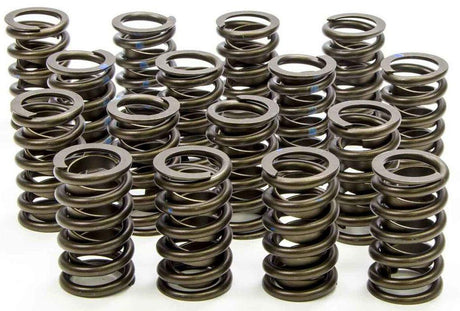 ISKY Outer Valve Spring with Damper 1.260" OD (ISK235D) ISK235D