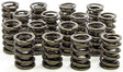 ISKY "SP" Series Dual Valve Springs with Damper (16) 1.530" OD (ISK8205-SP) ISK8205-SP