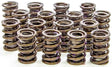 ISKY Dual Valve Springs with Damper (Set) 1.530" OD (ISK8205) ISK8205