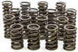 ISKY "SP" Series Dual Valve Springs with Damper (16) 1.550" OD (ISK9365-SP) ISK9365-SP