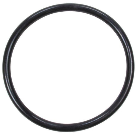 JAZ Replacement Cap Gasket (JAZ850-200-01) JAZ850-200-01