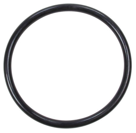 JAZ Replacement Jug Cap O-Ring (JAZ850-400-01) JAZ850-400-01