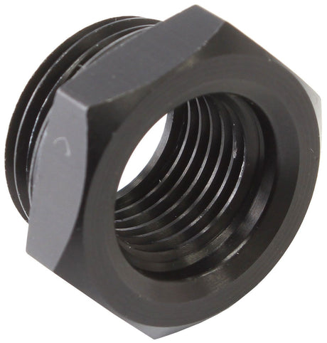 Kinsler -6 Female ORB x 8AN Male ORB Bush (KIN-6103)