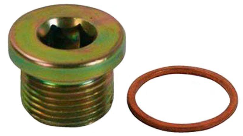 Moroso Steel Plug with Copper Washer (MO22738) MO22738