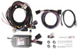 MSD LS Ignition Controller - Black (MSD60143) MSD60143