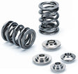 Performance Springs Dual Valve Spring & Titainium Retainer Set (PSTAU6K) PSTAU6K