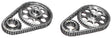 Rollmaster D/R Timing Chain Set (ROCS3110) ROCS3110