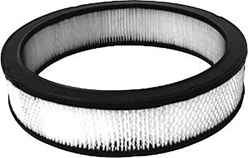 RPC Air Cleaner Element - Paper (RPCR2110) RPCR2110