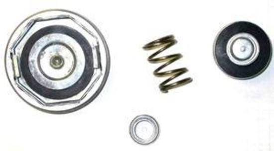 RPC Polished Aluminium Radiator Cap (RPCR5010) RPCR5010