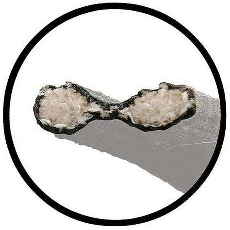 Vintique Inc Grill To Bonnet Lace Kit (VI40-16739-S) VI40-16739-S